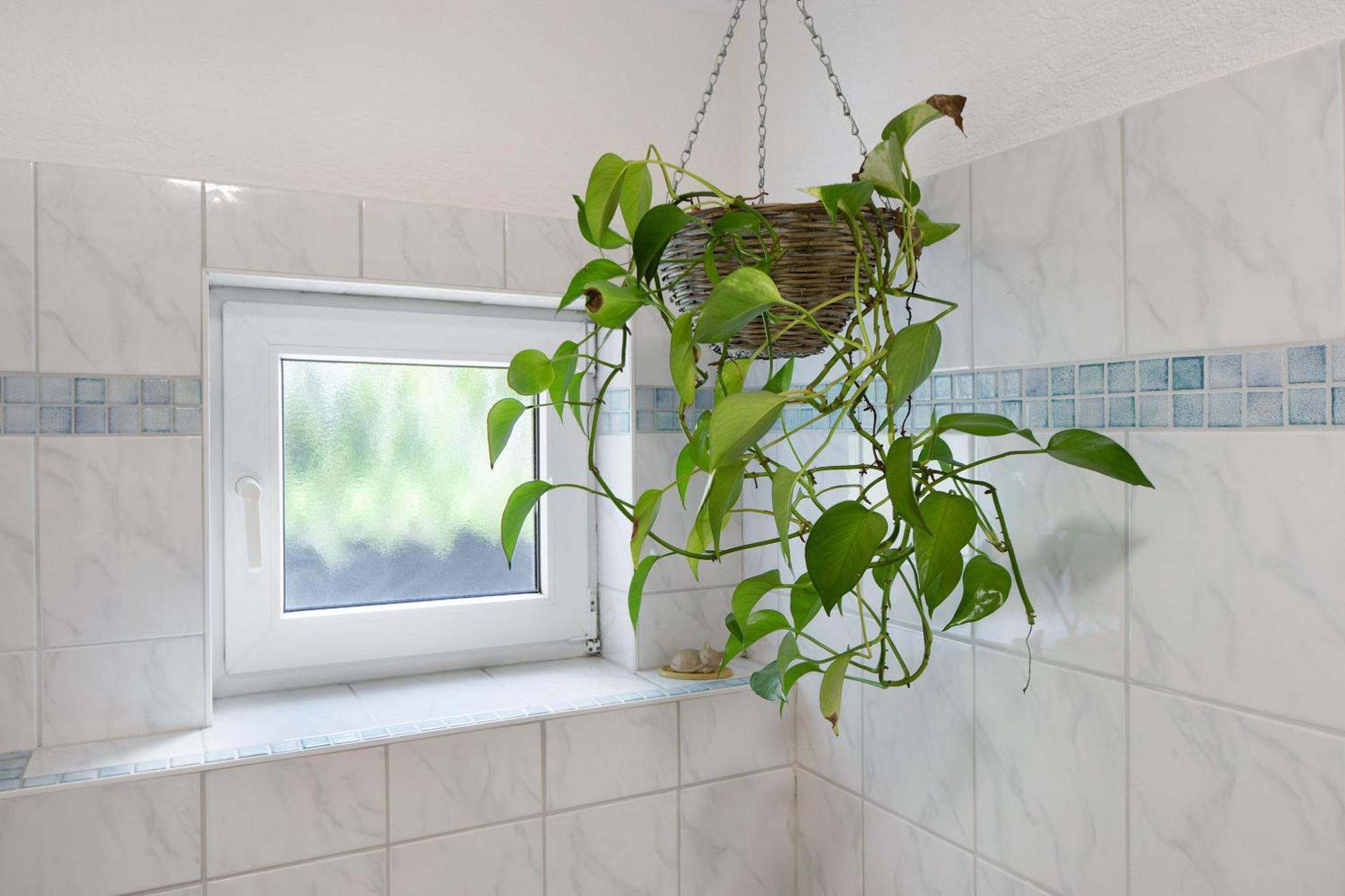 Ferienwohnung Zur Schauinslandbahn Horben Ngoại thất bức ảnh